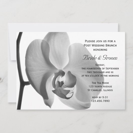 Witte Orchidee Post-Huwelijksbrunch Kaart (Voorkant)