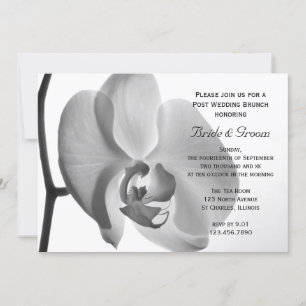 Witte Orchidee Post-Huwelijksbrunch Kaart