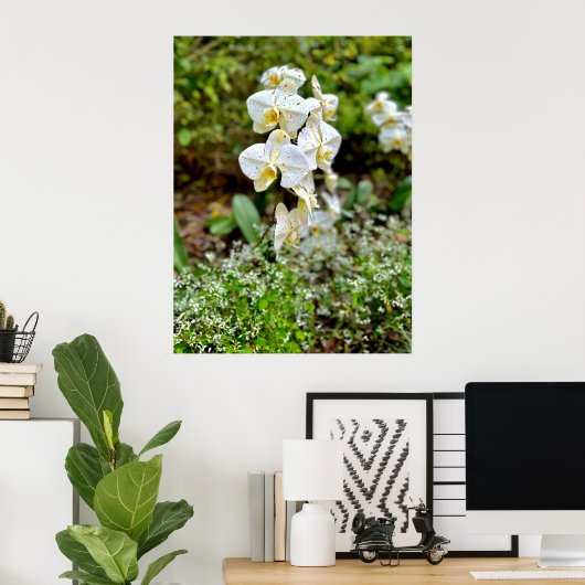 Witte Orchidee Poster (Thuiskantoor)
