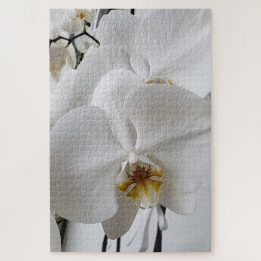 Witte Orchidee Puzzel (Verticaal)