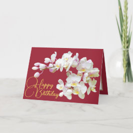  witte orchidee rode achtergrond Happy Birthday Kaart