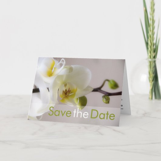 Witte orchidee Save the date Kaart (Voorkant)