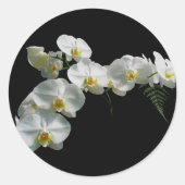 Witte orchidee Stickers (Voorkant)