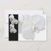 Witte Orchidee Tafel Stoelkaartjes Kaart (Achterkant)