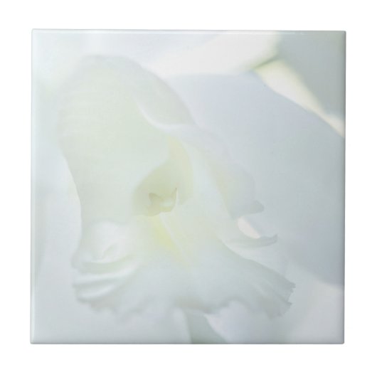 Witte Orchidee Tegeltje (Voorkant)