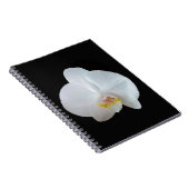 Witte orchidee tegen zwarte achtergrond notitieboek (Rechterzijde)