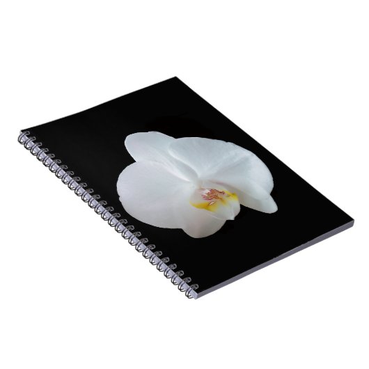 Witte orchidee tegen zwarte achtergrond notitieboek (Rechterzijde)