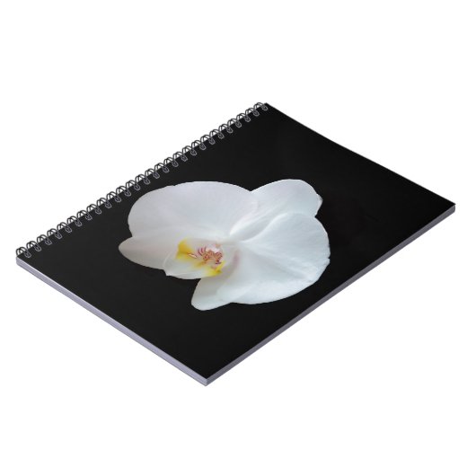 Witte orchidee tegen zwarte achtergrond notitieboek (Linkerzijde)