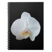 Witte orchidee tegen zwarte achtergrond notitieboek (Voorkant)
