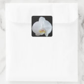 Witte orchidee tegen zwarte achtergrond vierkante sticker (Tas)