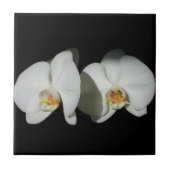 Witte orchidee, tropische witte bloemen tegeltje (Voorkant)