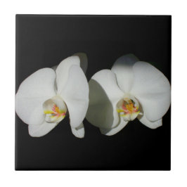 Witte orchidee, tropische witte bloemen tegeltje