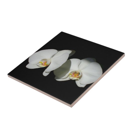 Witte orchidee, tropische witte bloemen tegeltje (Zijkant)