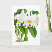  witte orchidee ventilator blanco noot Kaart (Voorkant)