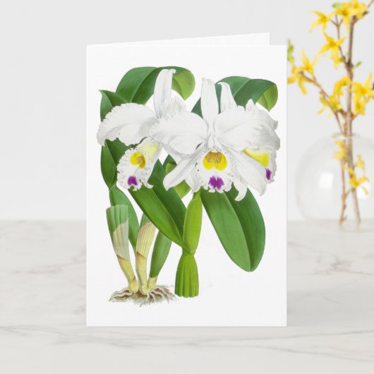  witte orchidee ventilator blanco noot Kaart (Gele Bloem)