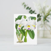 witte orchidee ventilator briefkaart (Staand voorkant)