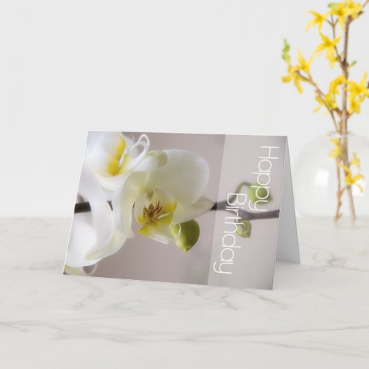 Witte Orchidee Verjaardag Kaart (Gele Bloem)