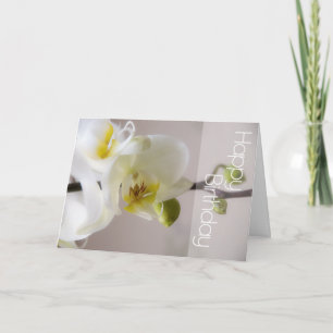 Witte Orchidee Verjaardag Kaart