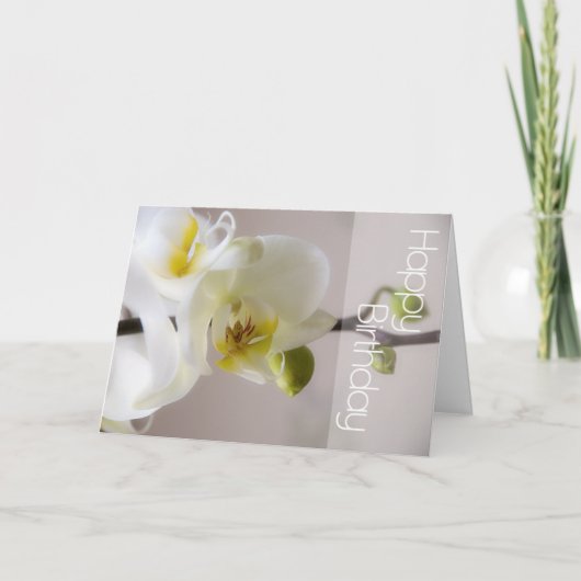 Witte Orchidee Verjaardag Kaart (Voorkant)