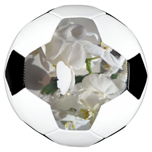 Witte Orchidee Voetbal (Gedraaid)