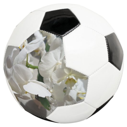 Witte Orchidee Voetbal (Drie kwart)