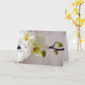 Witte Orchidee • Wenskaart Kaart (Gele Bloem)