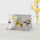 Witte Orchidee • Wenskaart Kaart (Gele Bloem)