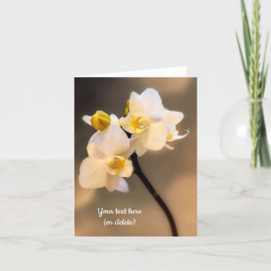 Witte orchidee wenskaart kaart