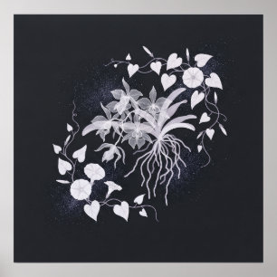 Witte Orchidee Wortels Hart Blaadstelen Zwarte Pos Poster