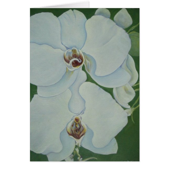 Witte orchideeën (Voorkant)