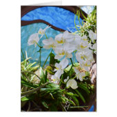 "Witte orchideeën" (Voorkant)
