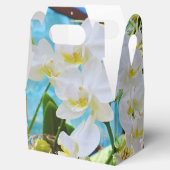 Witte Orchideeën  Bedankdoosjes (Geopend)