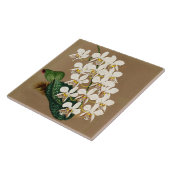 Witte orchideeën botanische afdrukken, Tan achterg Tegeltje (Zijkant)