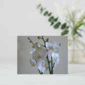 Witte orchideeën briefkaart (Staand voorkant)