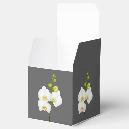 Witte orchideeën bruiloft dank u bedankdoosjes (Geopend)
