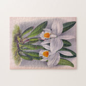 witte orchideeën Cattleya Virginalis Lindenia Legpuzzel (Horizontaal)