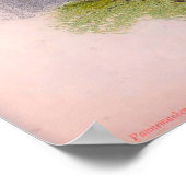 witte orchideeën Cattleya Virginalis Poster (Hoek)