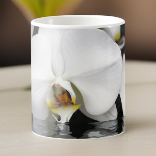 Witte orchideeën die opkomen uit de waterkoffiebe koffiemok