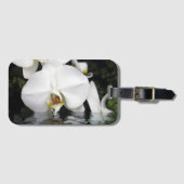 Witte Orchideeën die uit Water Bagagelabel komen (Voorkant (horizontaal))