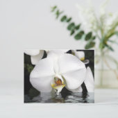 Witte Orchideeën die uit Water Briefkaart komen (Staand voorkant)