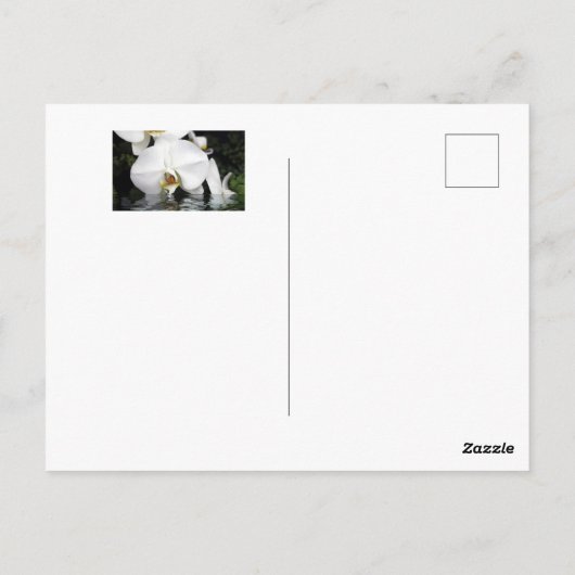 Witte Orchideeën die uit Water Briefkaart komen (Achterkant)