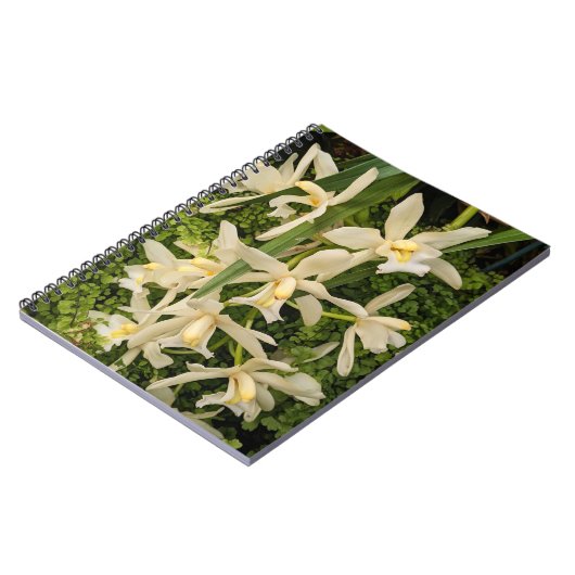 Witte orchideeën en varens Bloemen Notitieboek (Linkerzijde)