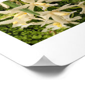 Witte orchideeën en varens Bloemen Poster (Hoek)