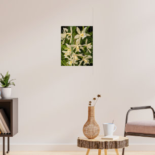 Witte Orchideeën en Varens Bloemen Poster