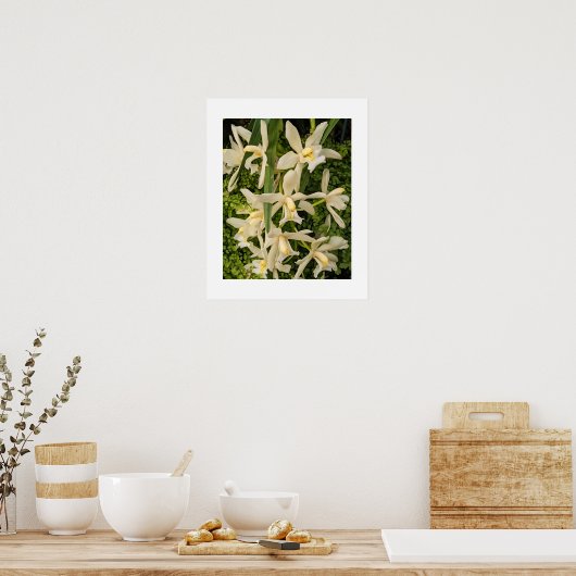 Witte Orchideeën en Varens Bloemen Poster (Keuken)