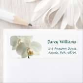 Witte orchideeën etiket (Insitu)