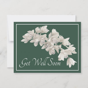 Witte Orchideeën Groene Achtergrond Beterschap Briefkaart