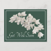 Witte orchideeën groene achtergrond beterschap briefkaart (Voorkant)