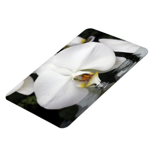 Witte orchideeën in water Flexibele fotomagneet Magneet (Linkerzijde)