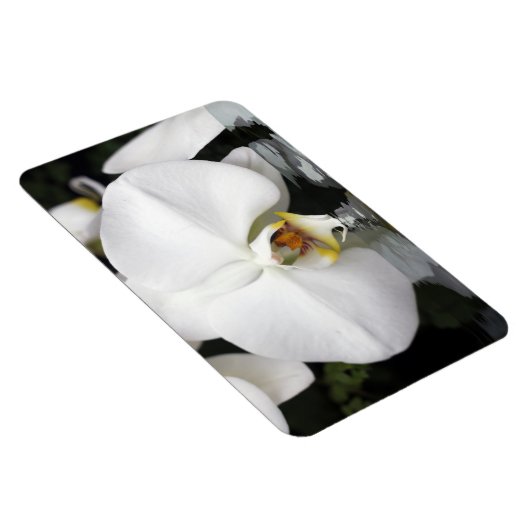 Witte orchideeën in water Flexibele fotomagneet Magneet (Rechterzijde)